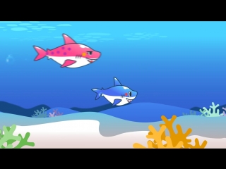 Baby shark song songs for porn songs for sex the kiboomers