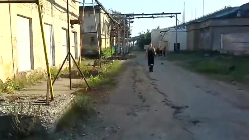 Доебались до уток