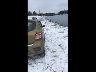 Live тёплая лапа ирбиса