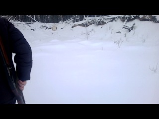 Стрельба пулями из мр 155