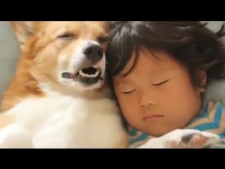 Крепко спим)