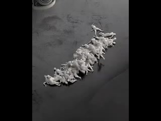 Humans week animation by @nickels share your artwork with xuxoe ━ ━ ━ ━ ( 800 x 640 ) mp4