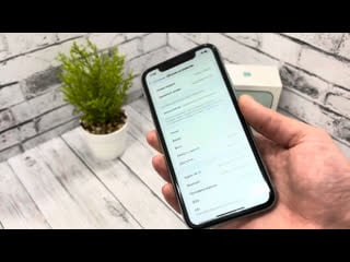 Обзор iphone 11 64gb green