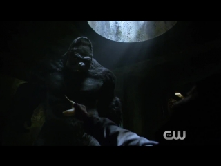 The flash "grodd" (clip)