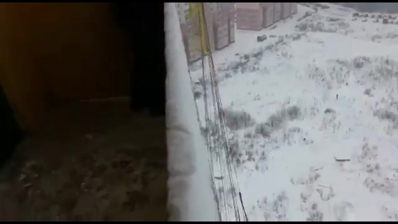 Слабоумие и отвага