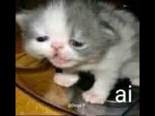 Секс маст дай png