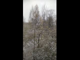 Vid 20201018 103028 mp4