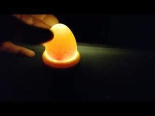 Спасаем петуха//овоскопирование