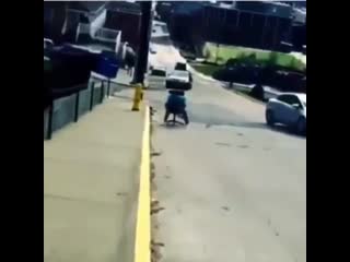 Wcgw if i slide down the street with an office chair?