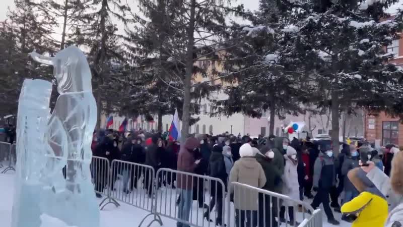 «пуцін злодзей!» яскравыя моманты з акцый у падтрымку навальнага (13)