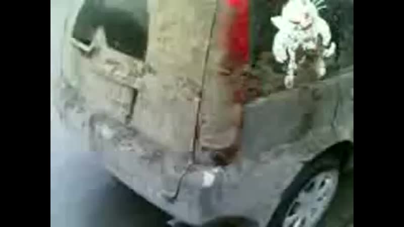 Мирай творит с нами это
