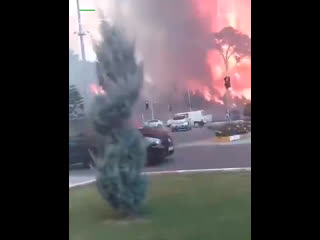 Видео от гиды рима