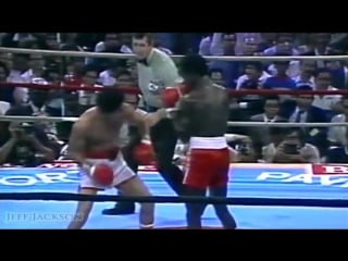 Азума нельсон вилфредо гомез /nelson vs gomez highlights