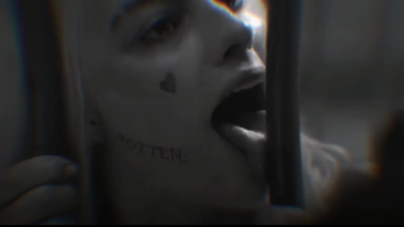 Харли квинн | harley quinn / хищные птицы | birds of prey