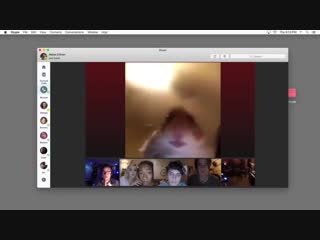 Хомяк в скайпе