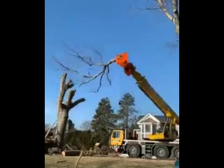 Машина для обрезки веток и сучьев vfibyf lkz j,htprb dtnjr b cexmtd