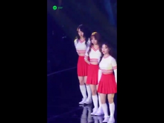 Favorite haseul fancam