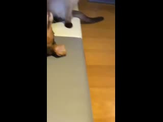 #yangyang insta stories 200630