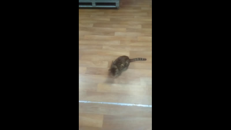 Всем привет!😃 приходите, мы вас заждались😻💞