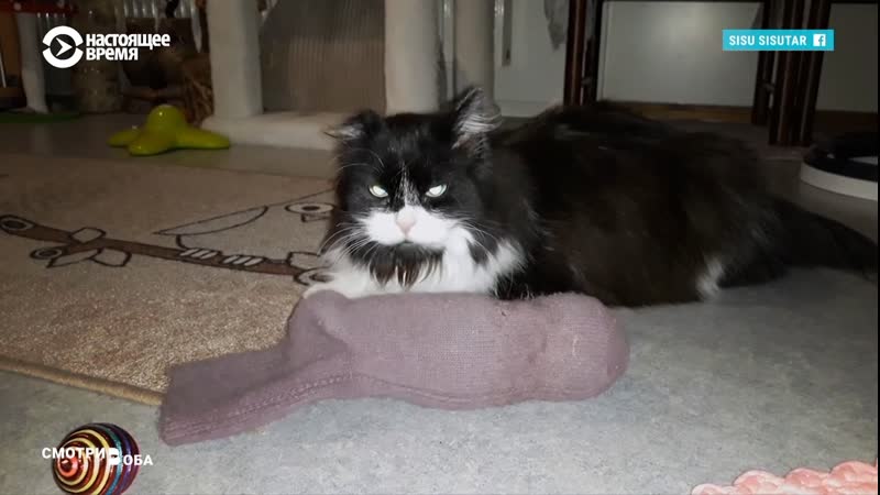 Почему в эстонии и финляндии популярны новости о молодые