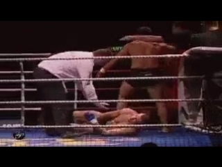 Suloev stretch amar suloev versus paul cahoon