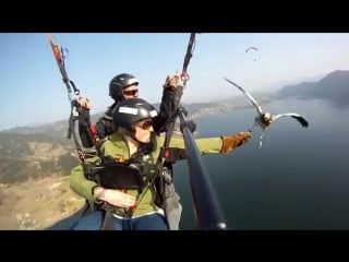 The best of paragliding moments