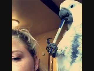 Lady is savagely beaten with a baseball bat