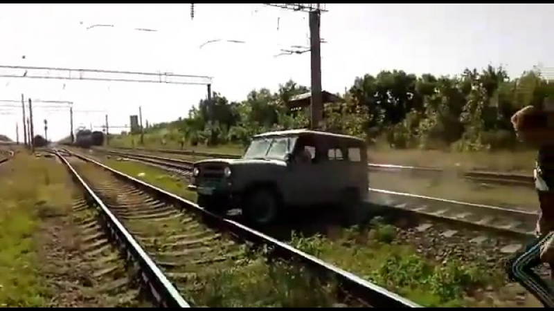 Вылазь, блядь, он тебя сожрет, нахуй