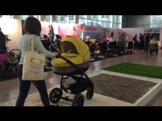 Noordi sole справляется с полосой препятствий