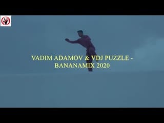 Vadim adamov vdj puzzle bananamix 2020