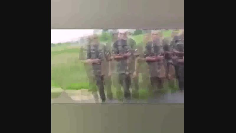 Хороним бычёк