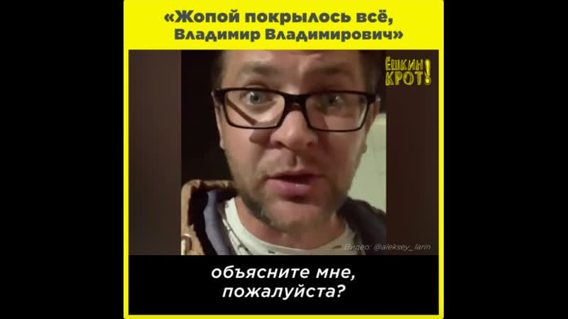 «жопой покрылось всё, владимир владимирович»