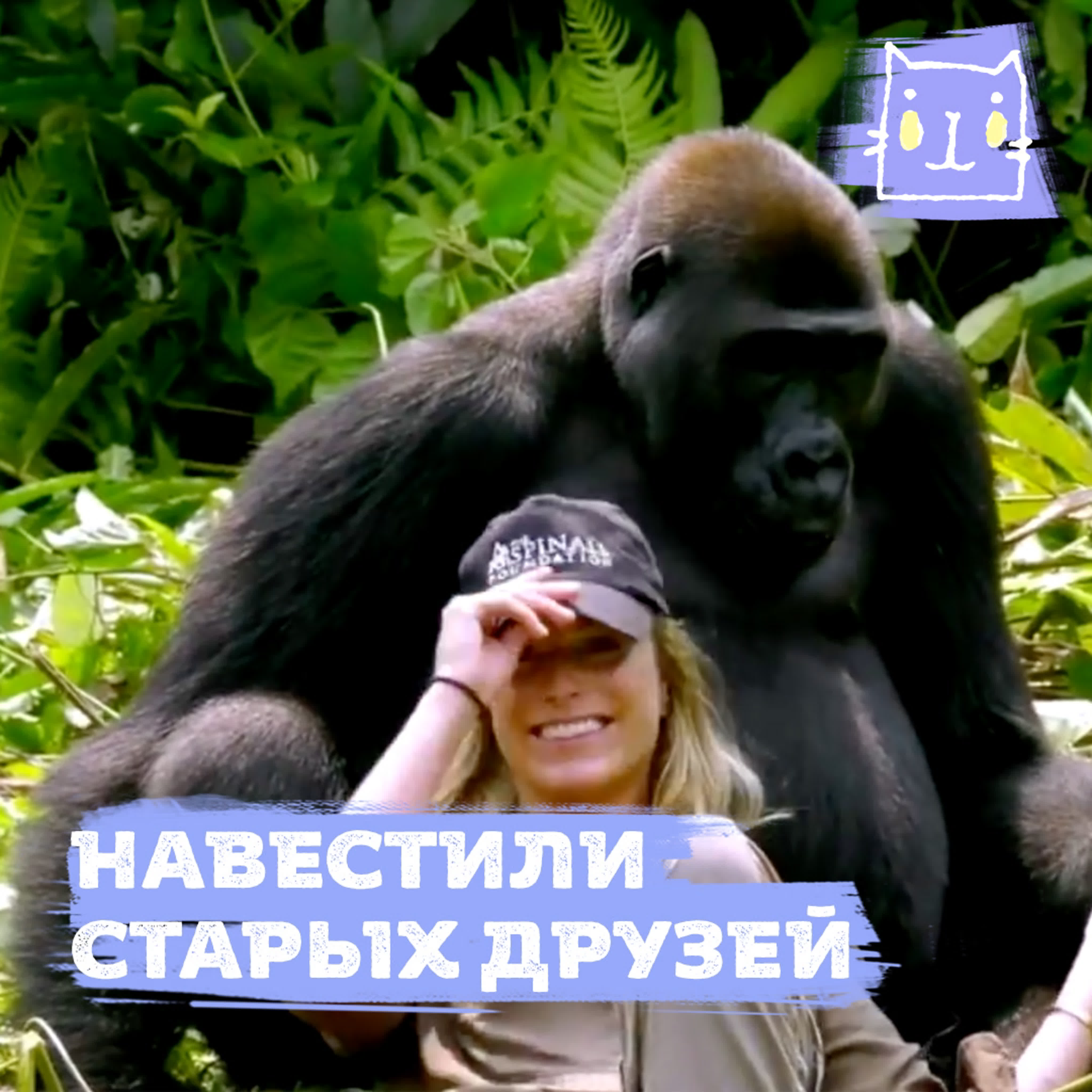 Сексуалдық құлдық ілулі