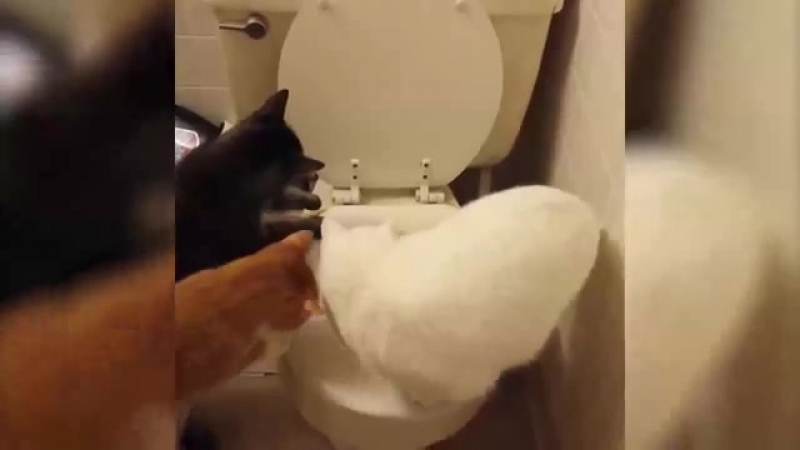 Освоение человеческих технологий