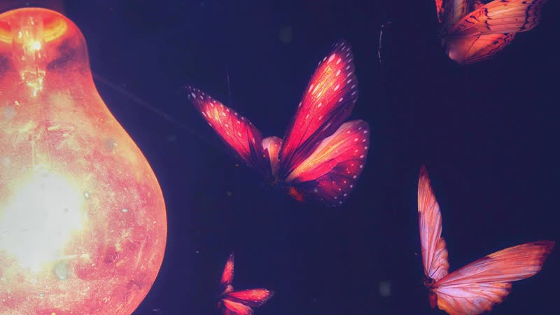 Belaya voda мотылёк (demo)