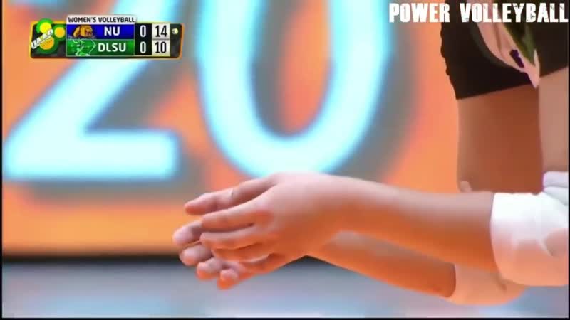 Craziest players in volleyball history (hd)