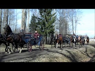 Мохнатый шмель