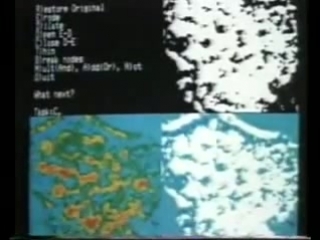 20 иммунный барьер