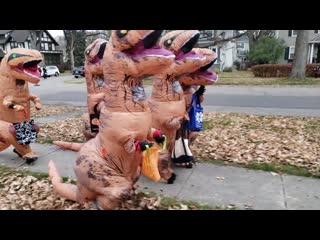 My son happened across a herd of other t rex last night and they asked him to join them