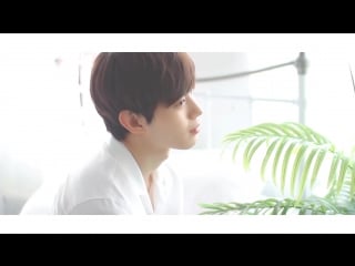 홍빈(hongbin) happy hongbin day! behind clip