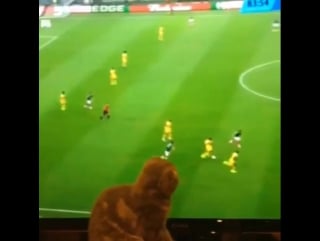 Angelababy insta "#worldcup 😊😊😊"