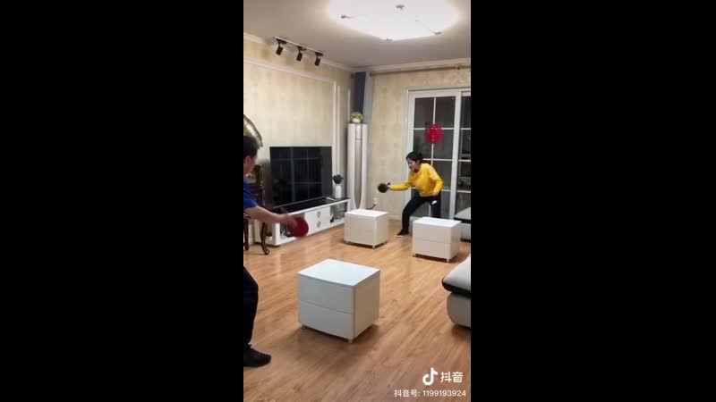 Домашний китайский пинг понг