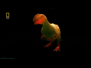 Пути эволюции последний живой динозавр / national geographic evolutions last living dinosaur