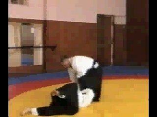 Реальное айкидо шихо наге