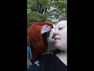 Jetzt wollte ich gerade raus nun donnert es /