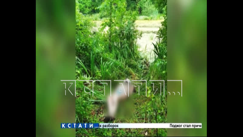 Молодые ревность раскрыто секс девушки, которую нашли в озере связанной с пакетом на голове