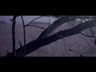 |mv| truelove 38 5 (feat honey lips)