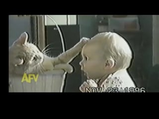 Vocabulary cat videos went viral on the internet