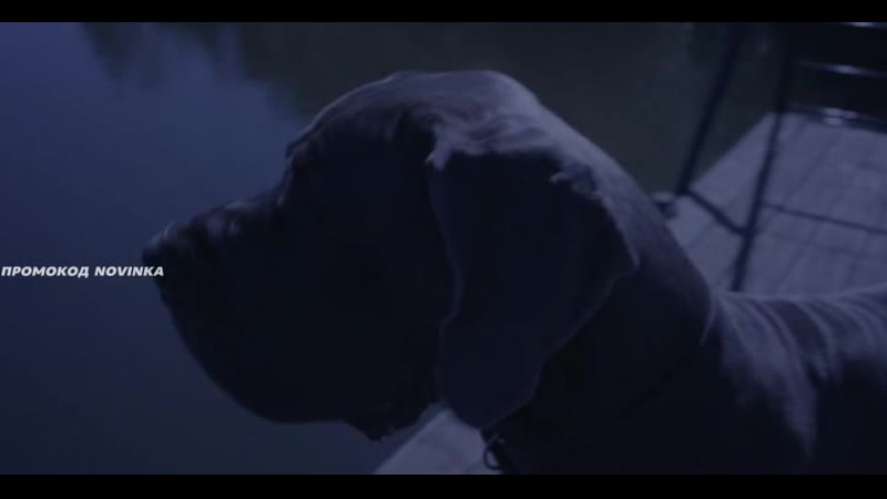 Странники терпенья (2018)