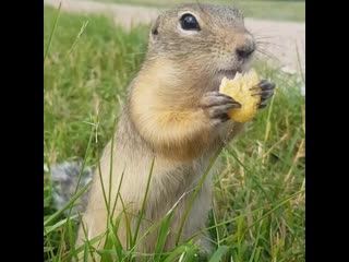 K oksana 16 20200804 234734 0 mp4